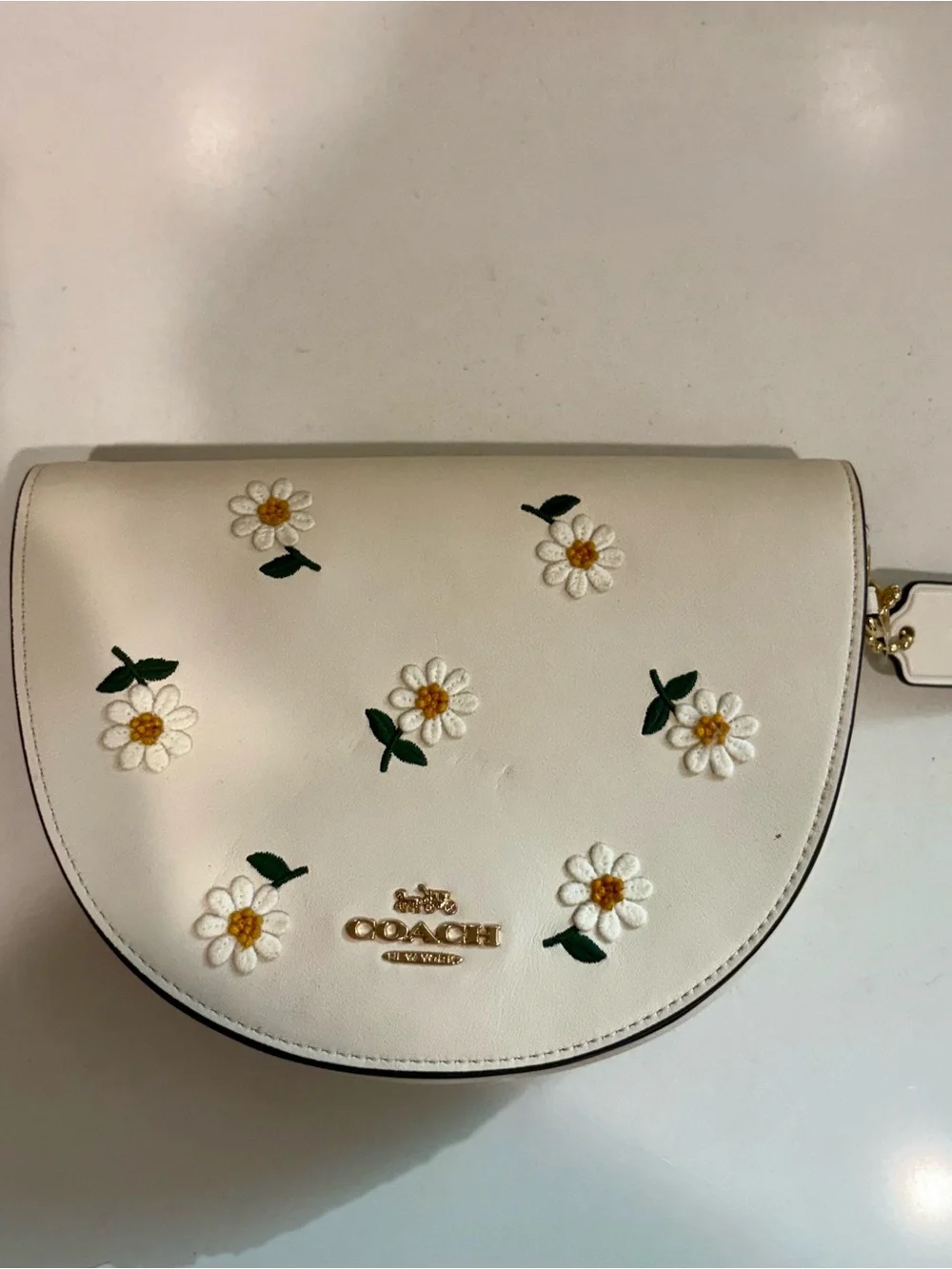 Coach Ellen Daisy Embroidered Leather Crossbody Bag Chalk C2863t